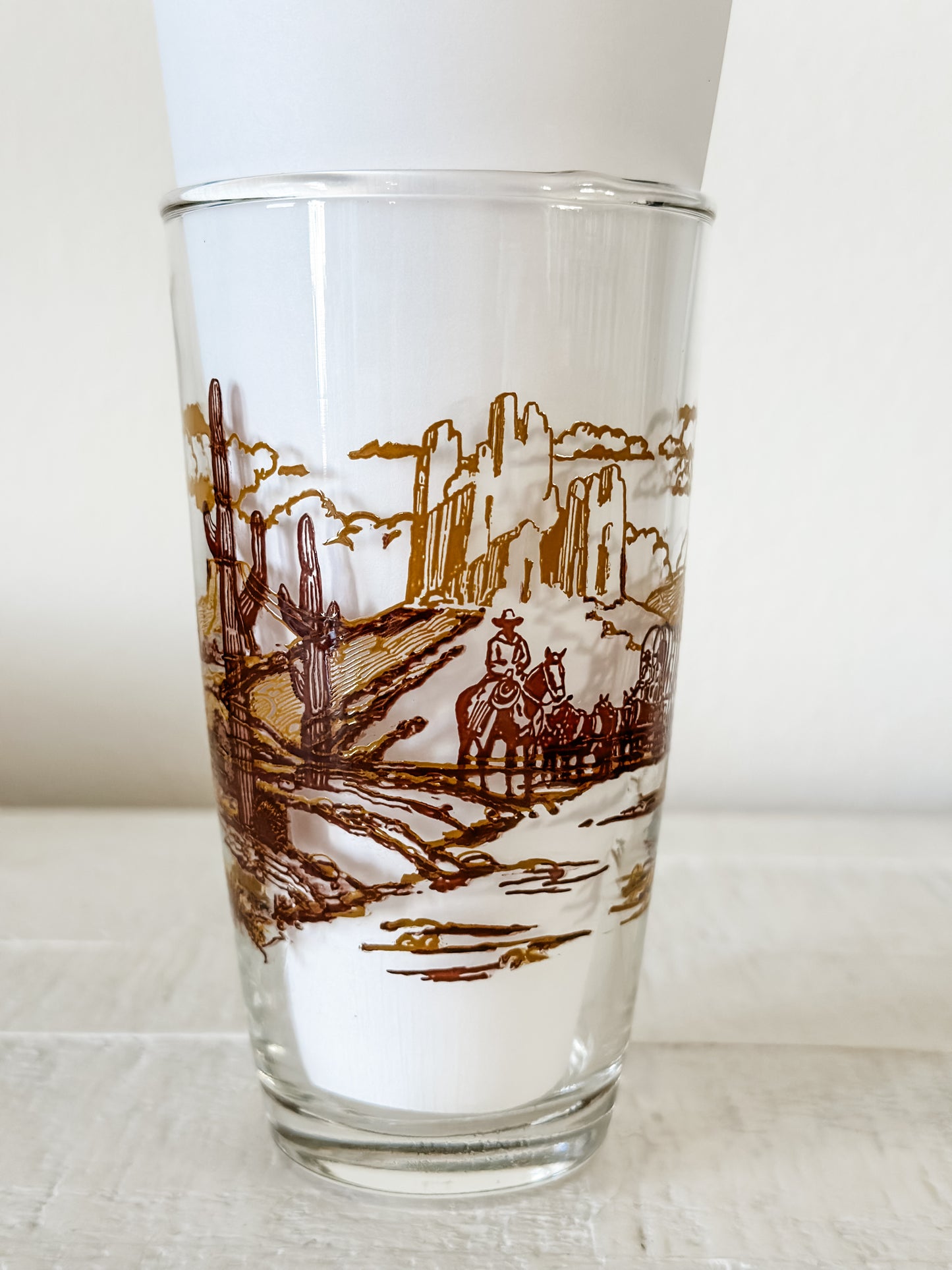 Vintage Western Drinking Glasses (Set)