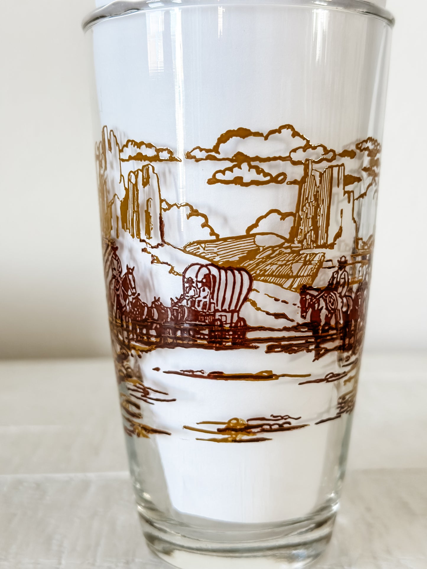 Vintage Western Drinking Glasses (Set)