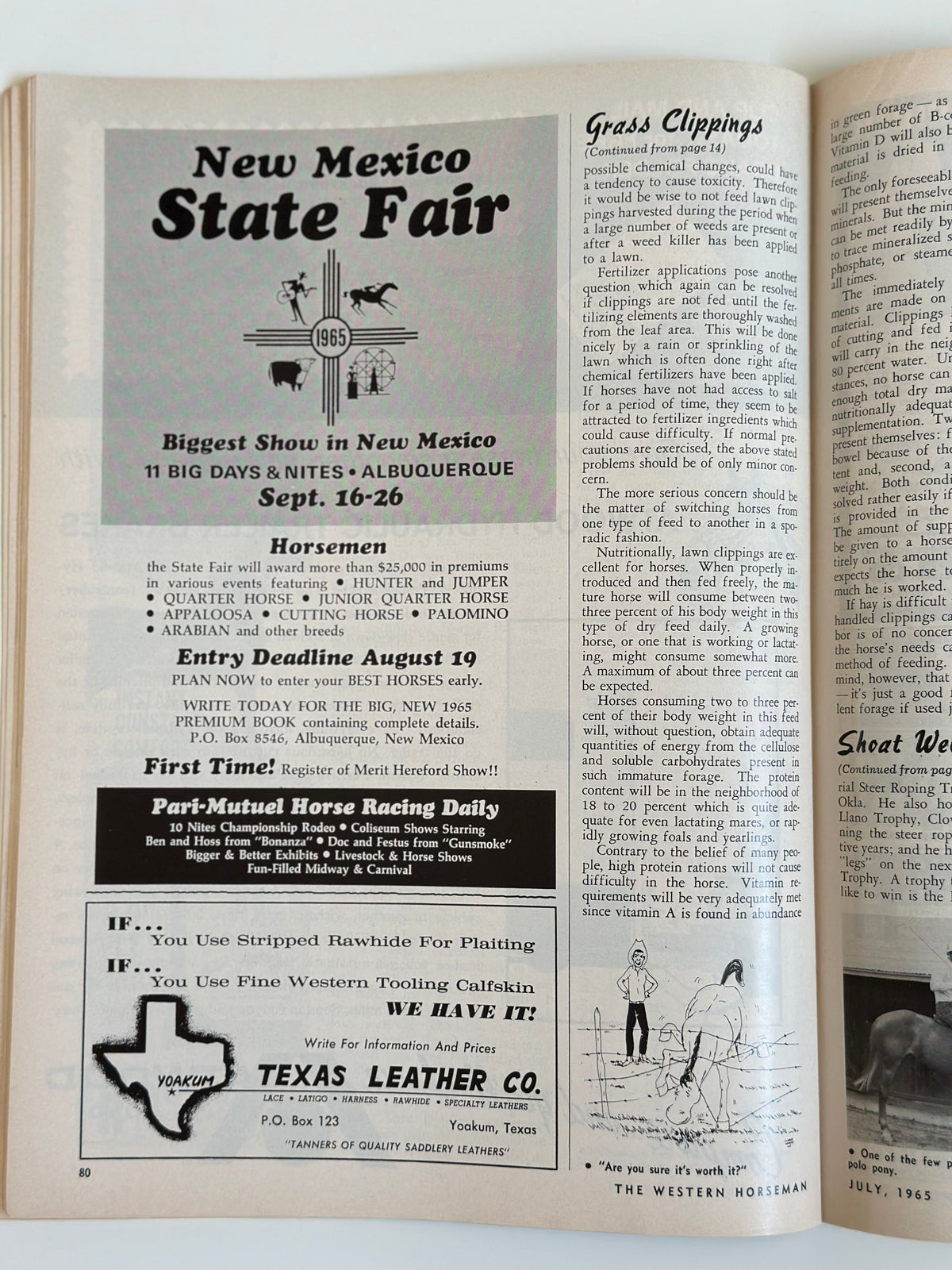 Vintage Western Horseman Magazine 1965