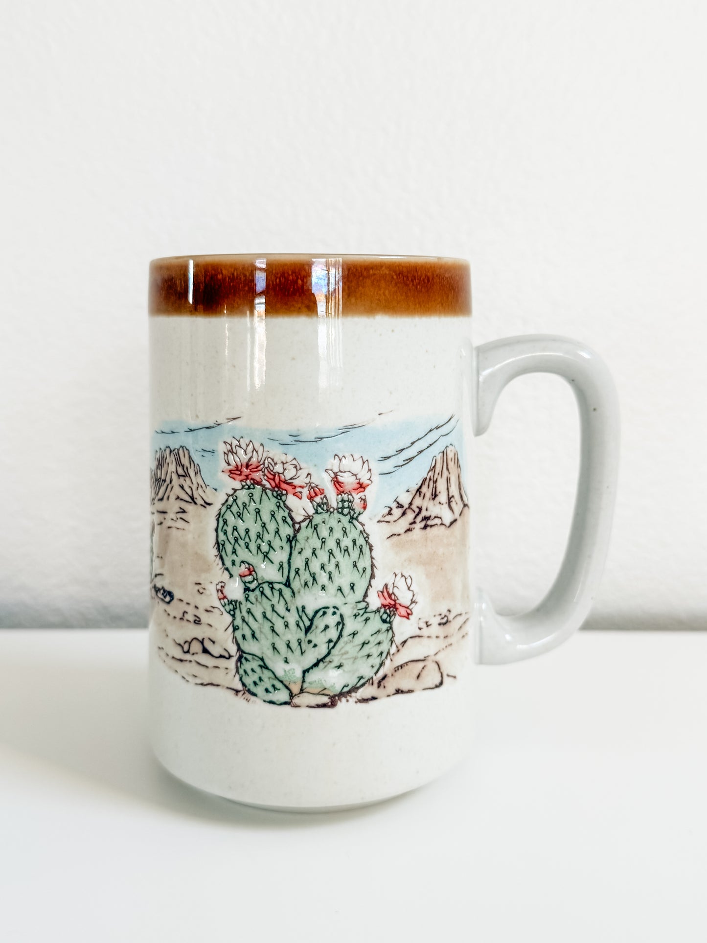 Vintage Desert Cactus Mug (Large)