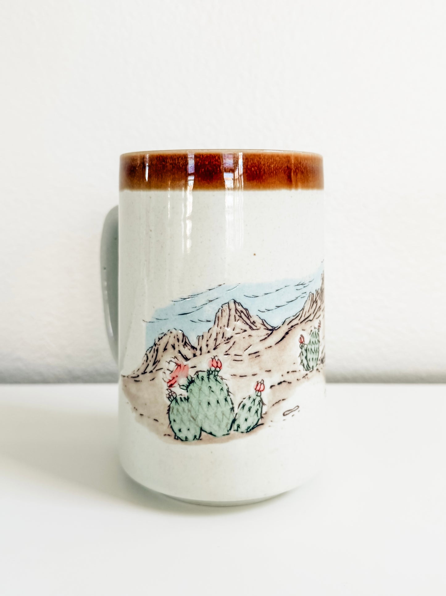 Vintage Desert Cactus Mug (Large)