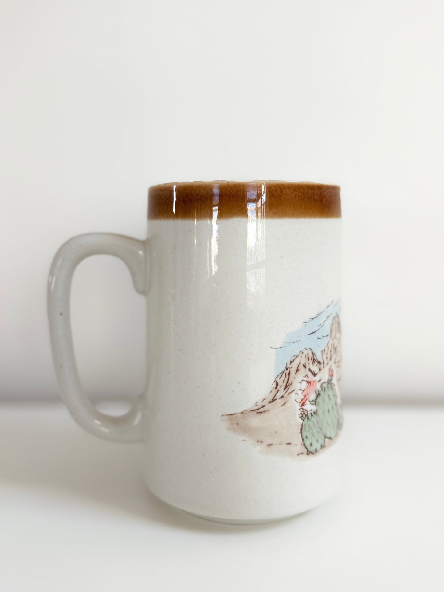 Vintage Desert Cactus Mug (Large)