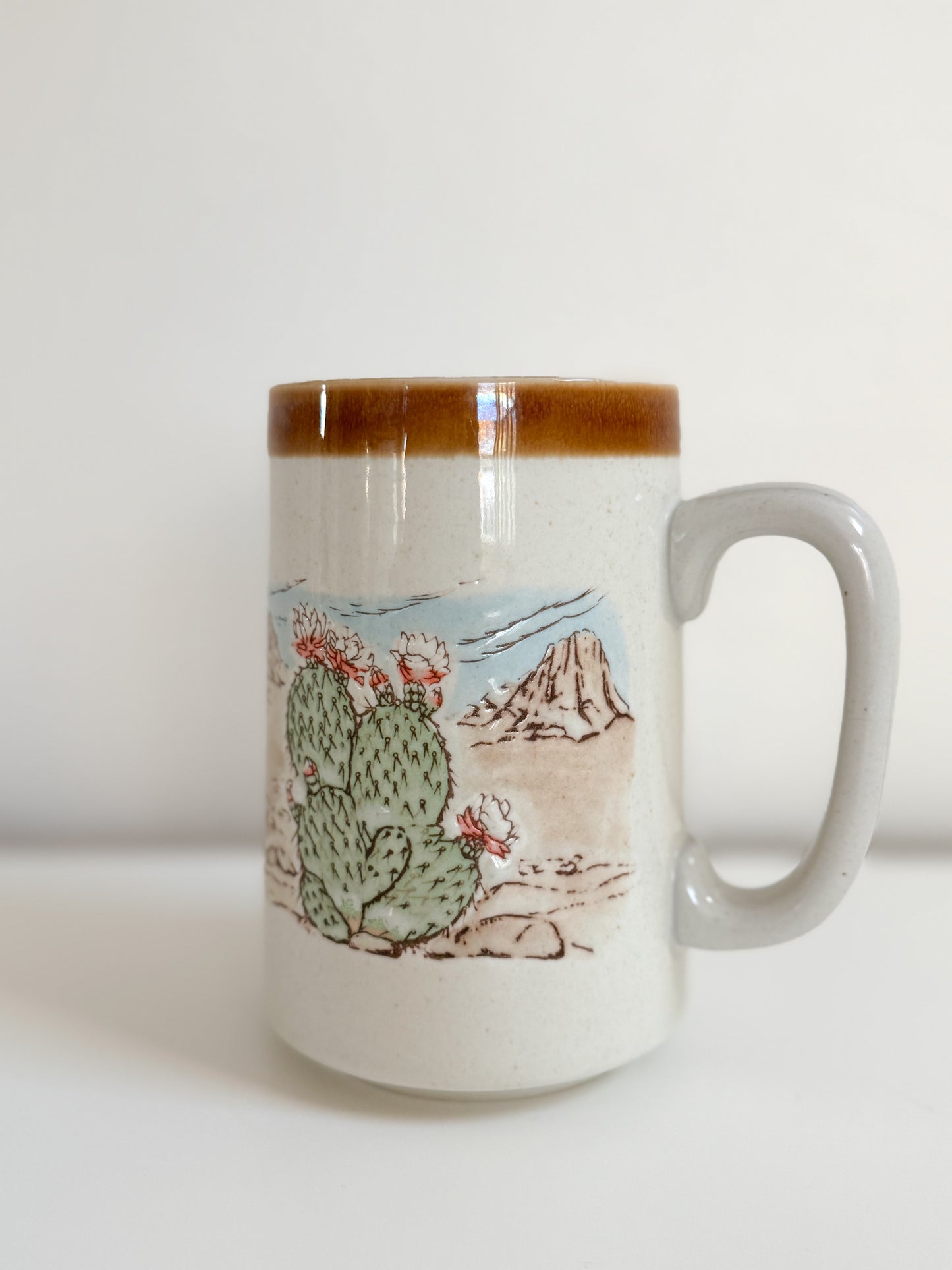 Vintage Desert Cactus Mug (Large)