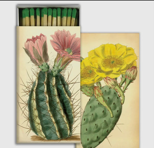 Cactus Matches