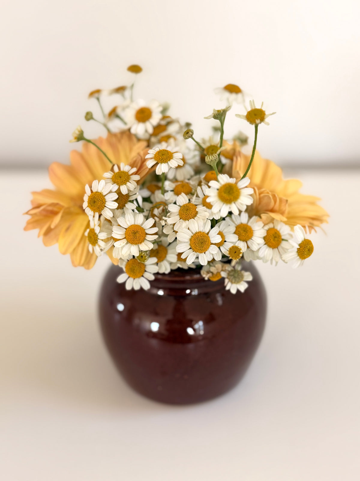 Vintage Brown Pottery Jar