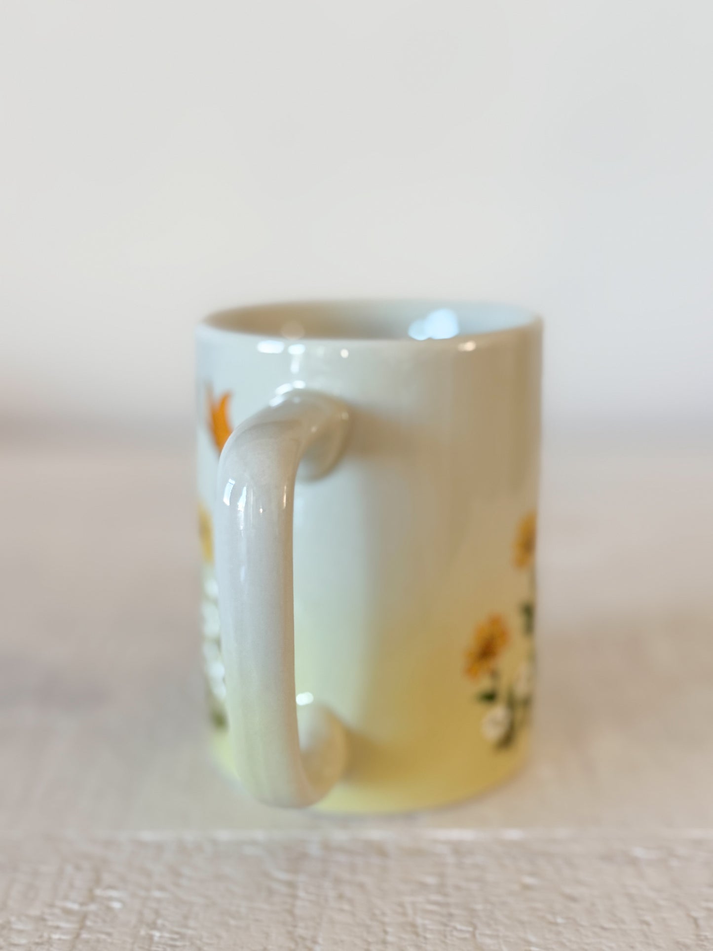 Vintage Daisy Mug