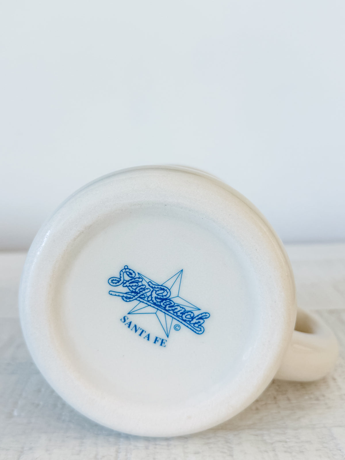 Vintage Sky Ranch Western Mug