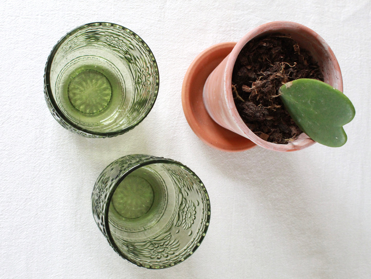 Green Flower Drinking Glass Set